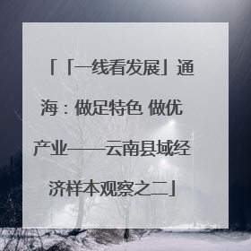 「一线看发展」通海：做足特色 做优产业——云南县域经济样本观察之二