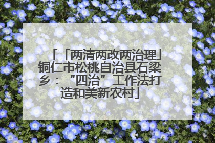 「两清两改两治理」铜仁市松桃自治县石梁乡：“四治”工作法打造和美新农村