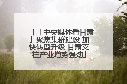 「中央媒体看甘肃」聚焦集群建设 加快转型升级 甘肃支柱产业增势强劲