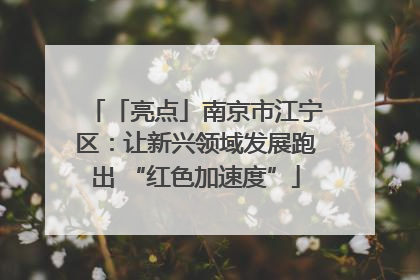 「亮点」南京市江宁区：让新兴领域发展跑出 “红色加速度”