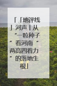 「地评线」河声丨从“一粒种子”看河南“两高四着力”的落地生根