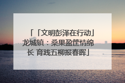 「文明彭泽在行动」龙城镇：桑果盈筐情绵长 育践五柳报春晖