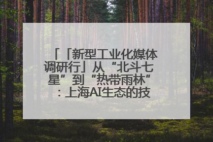 「新型工业化媒体调研行」从“北斗七星”到“热带雨林”：上海AI生态的技术商业共生密码