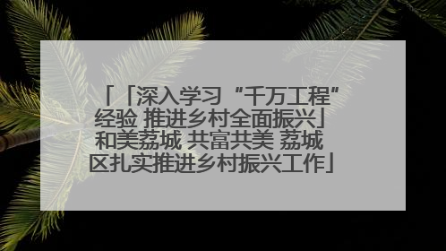 「深入学习“千万工程”经验 推进乡村全面振兴」和美荔城 共富共美 荔城区扎实推进乡村振兴工作