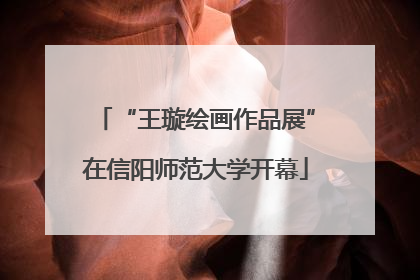 “王璇绘画作品展”在信阳师范大学开幕