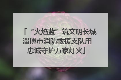 “火焰蓝”筑文明长城 淄博市消防救援支队用忠诚守护万家灯火