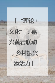 “理论+文化”：嘉兴黄岩联动，乡村振兴添活力