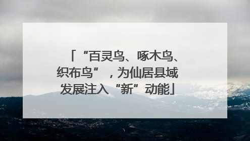 “百灵鸟、啄木鸟、织布鸟”，为仙居县域发展注入“新”动能