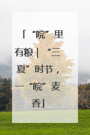 “皖”里有粮｜“三夏”时节，一“皖”麦香