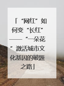 “网红”如何变“长红”——“一朵花”激活城市文化基因的破题之路
