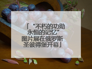 “不朽的功勋 永恒的记忆”图片展在俄罗斯圣彼得堡开幕