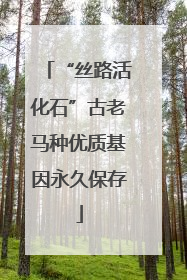 “丝路活化石”古老马种优质基因永久保存