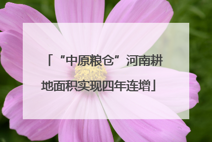 “中原粮仓”河南耕地面积实现四年连增