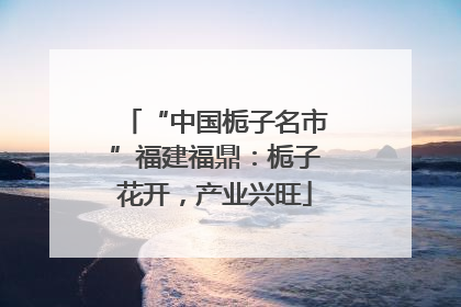 “中国栀子名市”福建福鼎：栀子花开，产业兴旺