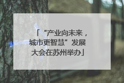 “产业向未来，城市更智慧”发展大会在苏州举办