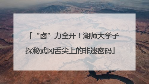 “卤”力全开！湖师大学子探秘武冈舌尖上的非遗密码