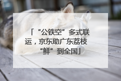 “公铁空”多式联运，京东助广东荔枝“鲜”到全国