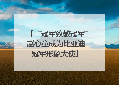 “冠军致敬冠军” 赵心童成为比亚迪冠军形象大使