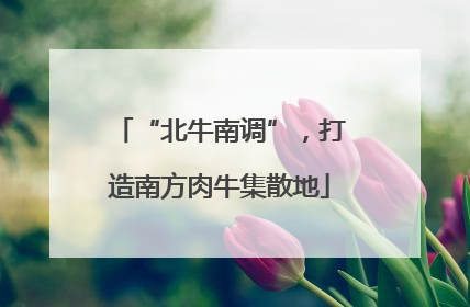 “北牛南调”，打造南方肉牛集散地