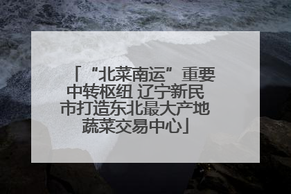 “北菜南运”重要中转枢纽 辽宁新民市打造东北最大产地蔬菜交易中心
