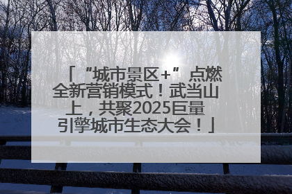 “城市景区+”点燃全新营销模式！武当山上，共聚2025巨量引擎城市生态大会！