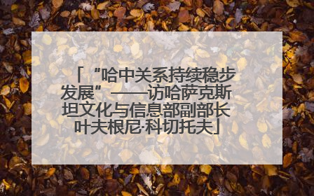 “哈中关系持续稳步发展”——访哈萨克斯坦文化与信息部副部长叶夫根尼·科切托夫