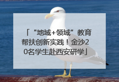 “地域+领域”教育帮扶创新实践！金沙20名学生赴西安研学