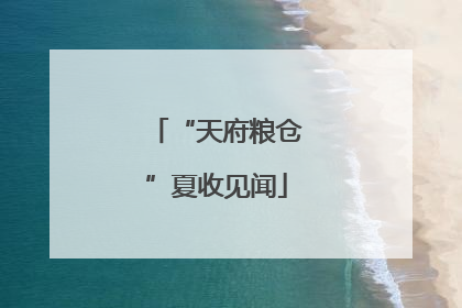 “天府粮仓”夏收见闻