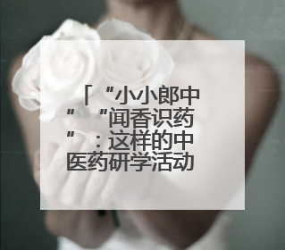 “小小郎中”“闻香识药”：这样的中医药研学活动更能启蒙