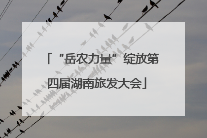 “岳农力量”绽放第四届湖南旅发大会