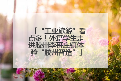 “工业旅游”看点多！外籍学生走进胶州李哥庄镇体验“胶州智造”
