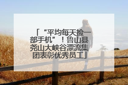“平均每天捡一部手机”！鲁山县尧山大峡谷漂流集团表彰优秀员工