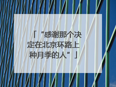 “感谢那个决定在北京环路上种月季的人”