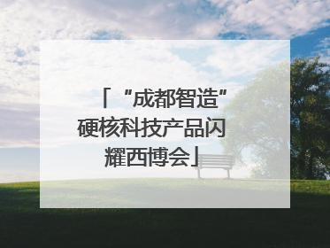 “成都智造”硬核科技产品闪耀西博会