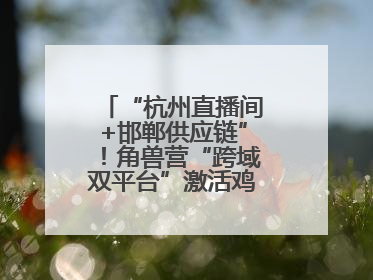 “杭州直播间+邯郸供应链”！角兽营“跨域双平台”激活鸡泽产业新动能