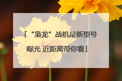 “枭龙”战机最新型号曝光 近距离带你看