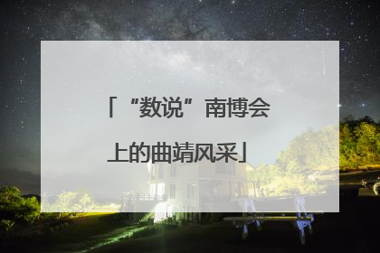 “数说”南博会上的曲靖风采