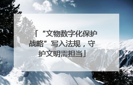 “文物数字化保护战略”写入法规，守护文明需担当