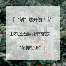 “斛”然开朗！宝山罗泾石斛花节绽放“花样经济”