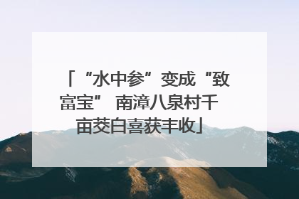 “水中参”变成“致富宝” 南漳八泉村千亩茭白喜获丰收