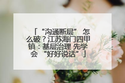 “沟通断层” 怎么破？江苏海门四甲镇：基层治理 先学会 “好好说话”
