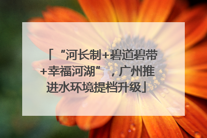 “河长制+碧道碧带+幸福河湖”，广州推进水环境提档升级
