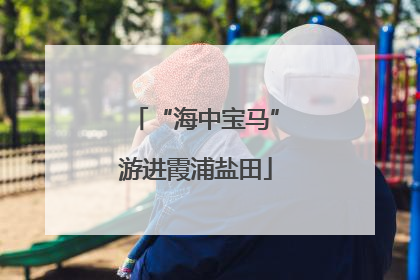“海中宝马”游进霞浦盐田