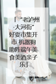 “老泸州·大河街”好耍市集开市 机器狗助阵端午美食美酒亲子乐