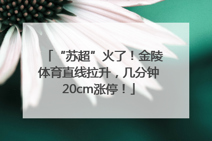 “苏超”火了！金陵体育直线拉升，几分钟20cm涨停！