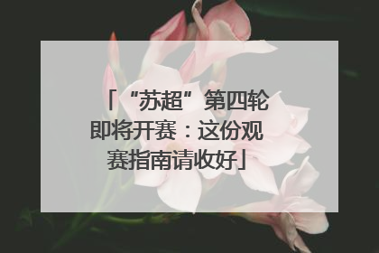 “苏超”第四轮即将开赛：这份观赛指南请收好