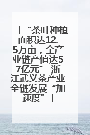 “茶叶种植面积达12.5万亩，全产业链产值达57亿元” 浙江武义茶产业全链发展“加速度”