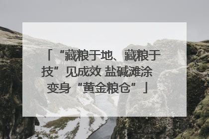 “藏粮于地、藏粮于技”见成效 盐碱滩涂变身“黄金粮仓”