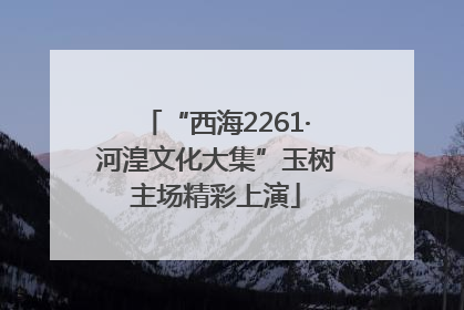 “西海2261·河湟文化大集”玉树主场精彩上演