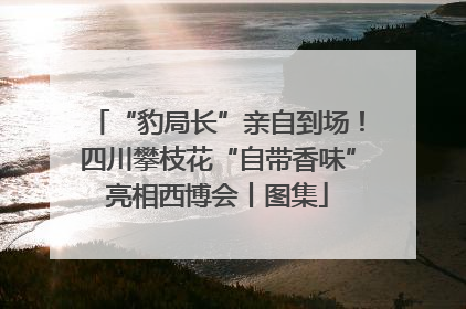 “豹局长”亲自到场！四川攀枝花“自带香味”亮相西博会丨图集